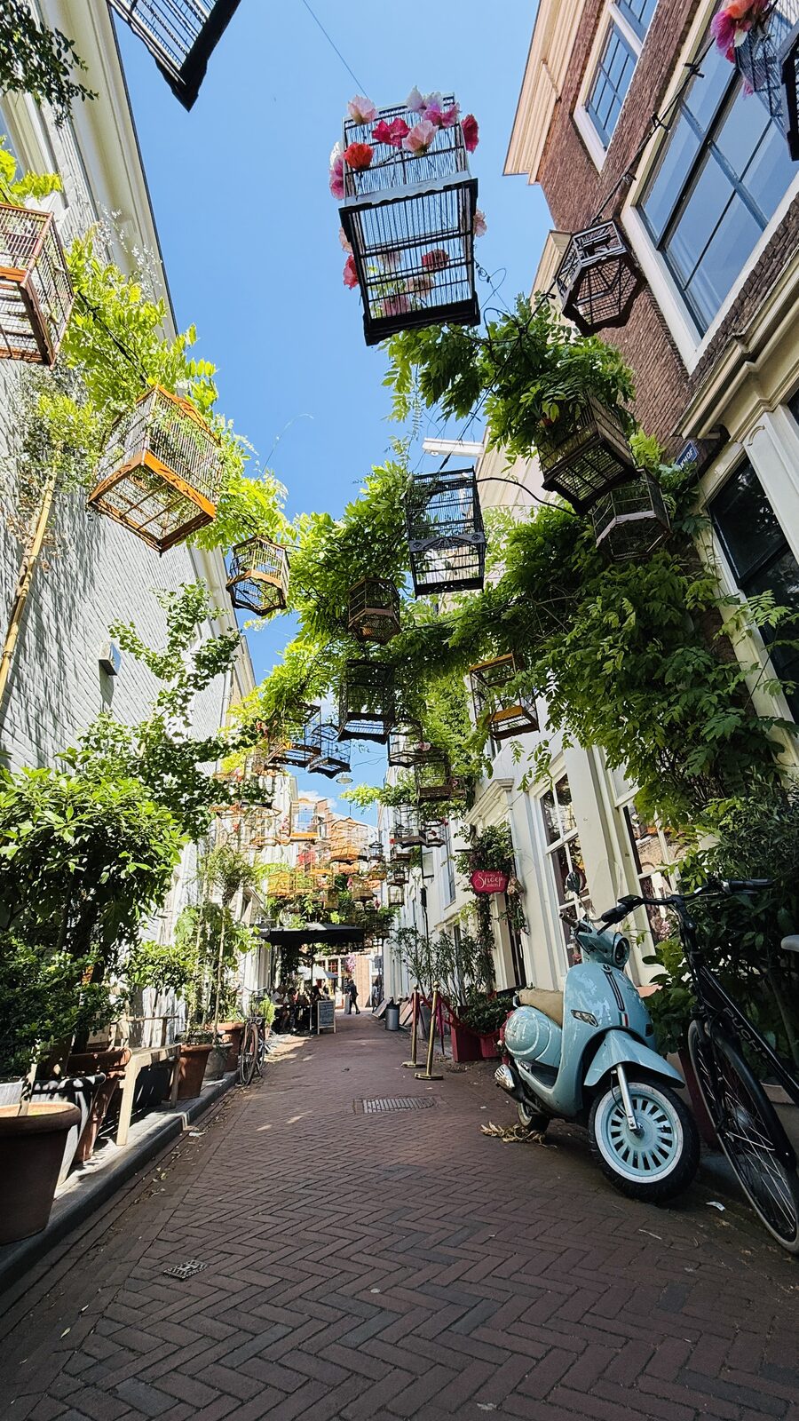 Photo from Belgium